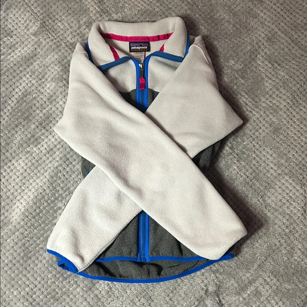 Patagonia Two-Tone Fleece Jacket with Blue Accents - Picture 3 of 6